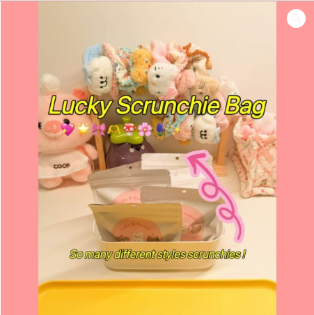 Lucky scrunchie bag-1o bags(at least 15scrunchies)+ 1 gift